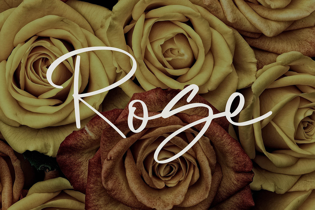 Almattine - Elegant Script Font, a Script Font by NTC Graphic (Photo 5 of 9)