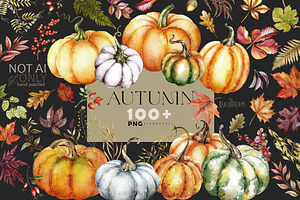 Big Autumn Collection