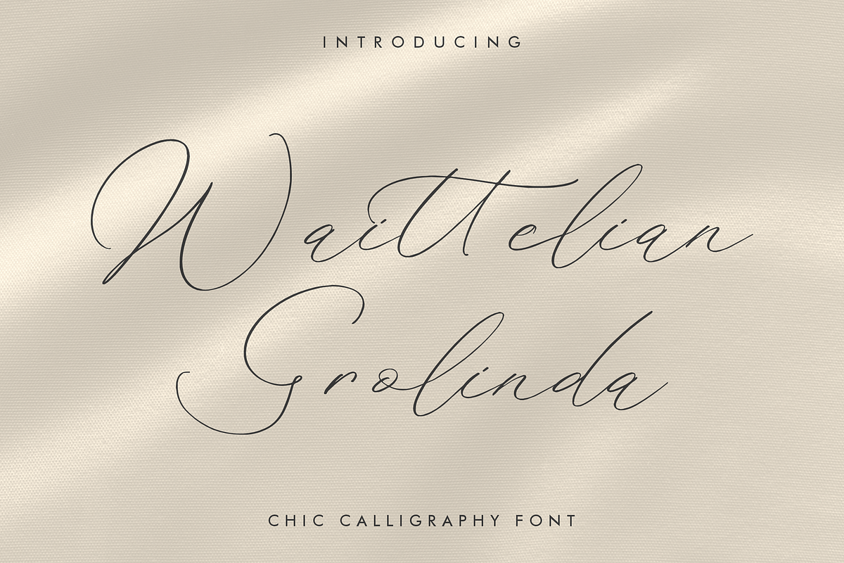 Waittelian Grolinda, a Script Font by Storytype Studio (Photo 1 of 15)
