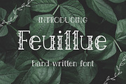 Feuillue | serif font, a Serif Font by Wander Designs (Thumbnail 1 of 6)