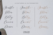 Chatter Filled, a Script Font by Nathatype (Thumbnail 5 of 11)