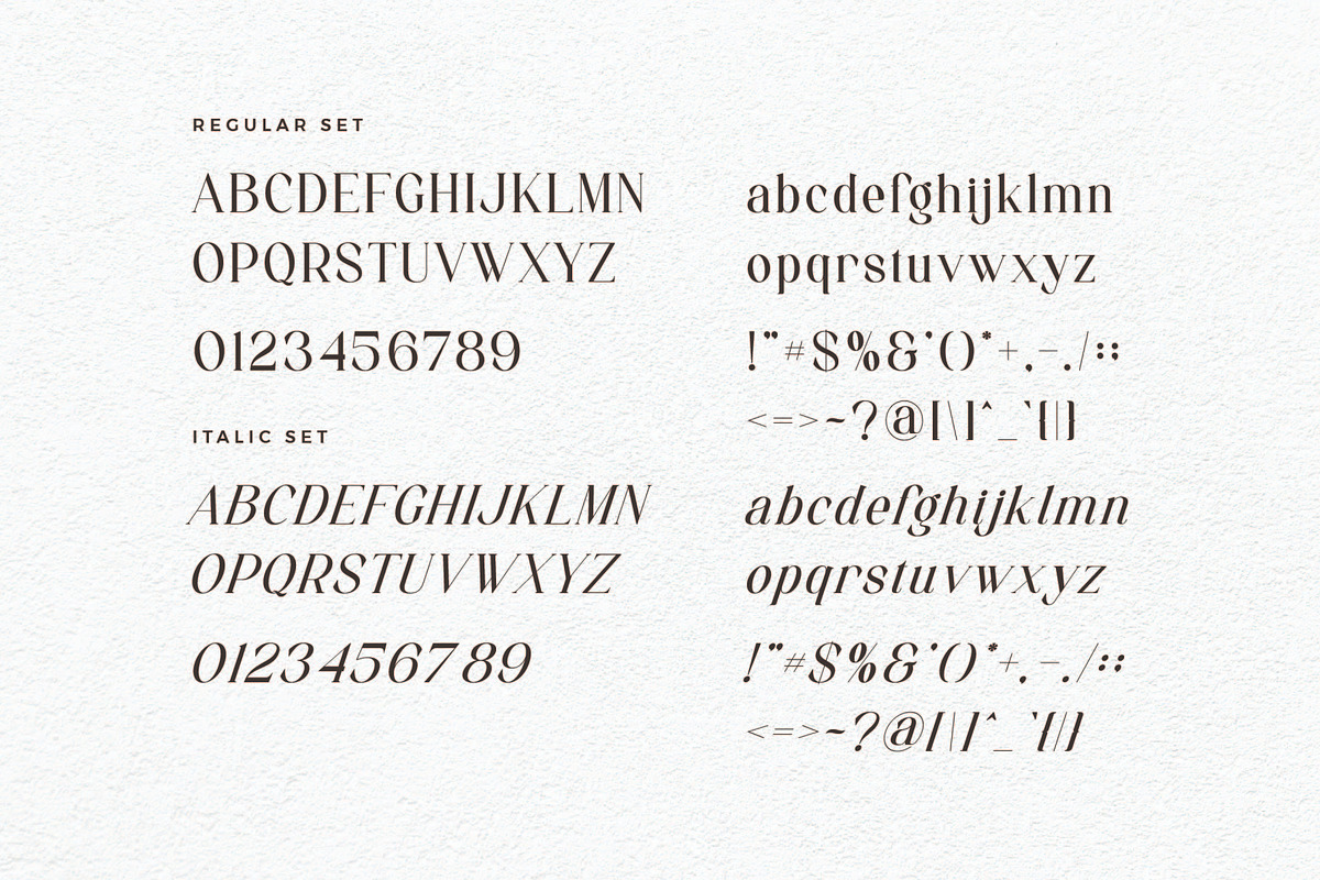 Bee Groove - Modern Serif Font, a Serif Font by Aqeel_Art (Photo 8 of 8)