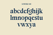 Nexot - Modern Serif Font, a Serif Font by Luna Shop (Thumbnail 4 of 11)