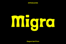 Migra - Retro Serif Font