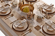 table setting 05, an Object 3D Model by 3dcruz (Thumbnail 1 of 14)