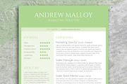 Fresh Mint CV Template, a Resume Template by Visual Impact (Thumbnail 1 of 3)