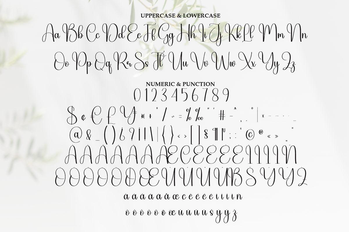 Thankful | Script Font, a Handwritten Font by Scratchones (Photo 7 of 9)