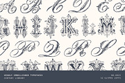 Ornate Victorian Drop Capitals, a Script Font by Century Library (Thumbnail 1 of 6)