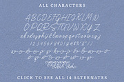 Birdspring Signature, a Script Font by Rillatype (Thumbnail 12 of 13)