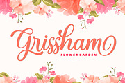 Misha Gergoval, a Script Font by Rotterlab Studio (Thumbnail 4 of 8)