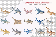 Watercolor Shark Clipart PNG Bundle, an Animal Illustration by Ink Gallery (Thumbnail 2 of 7)