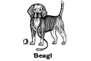 Dogs collection, part 1, an Animal Illustration by ZotovShop (Thumbnail 2 of 9)