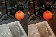 15 Spooky Season Lightroom Presets, a Preset Add-On by TheWayfarerShoppe (Thumbnail 7 of 9)