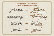 Meraline - Monoline Script, a Script Font by Bale Type (Thumbnail 5 of 10)