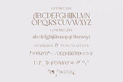 Itangiuh Display Modern Serif, a Serif Font by FinTypeStudio (Thumbnail 9 of 11)