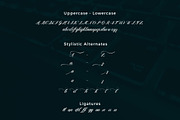 Cameroon, a Script Font by Canden Studio (Thumbnail 4 of 5)