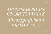 Achroma Editorial, a Serif Font by Megatype (Thumbnail 9 of 9)
