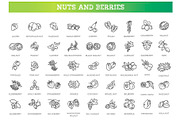 Nuts and Berries icons, a Food Illustration by Tettygreen (Thumbnail 1 of 3)