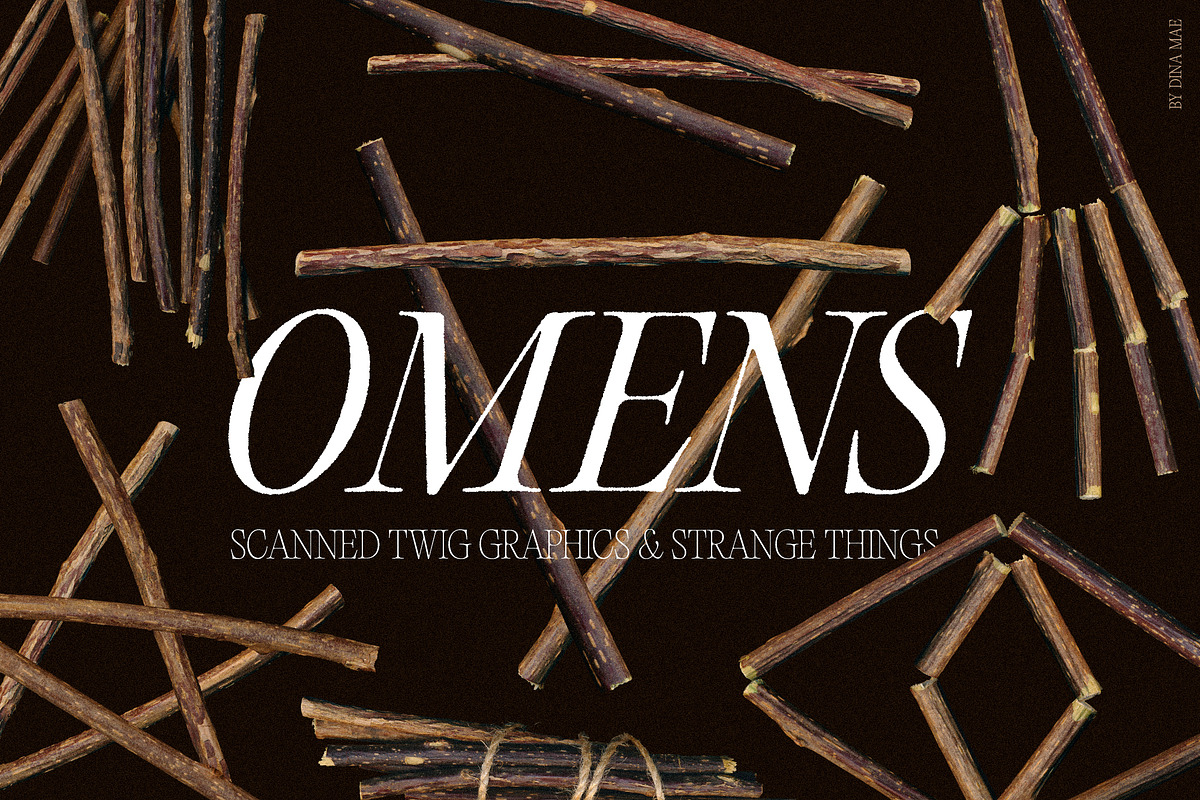 Omens: Witchy Twig Graphics, an Object Graphic by Dina Mae (Photo 1 of 10)