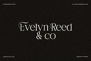 Terquiny - Modern Luxury Serif, a Serif Font by Shapespired Design (Thumbnail 16 of 17)