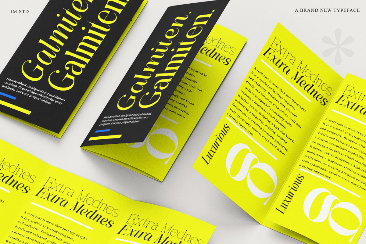 Galmiten | 243 Font Styles, a Serif Font by IM Studio (Photo 8 of 12)