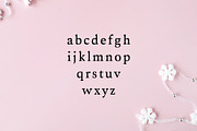 Aderes Serif 2 Font Family Pack, a Serif Font by Creativetacos (Thumbnail 3 of 5)