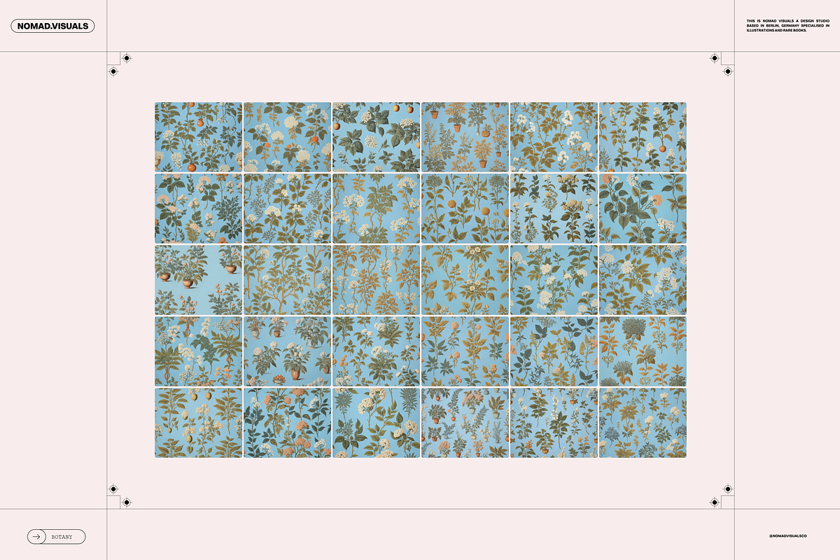 Plants & Flowers Illustrations, a Background Graphic by Nomad Visuals (Photo 6 of 14)