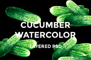 Cucumber watercolor illustrations, a Food Illustration by wedraw (Thumbnail 1 of 4)