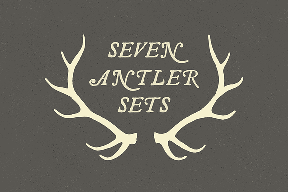 6 Deer Antlers - Hand Illustrated preview 6