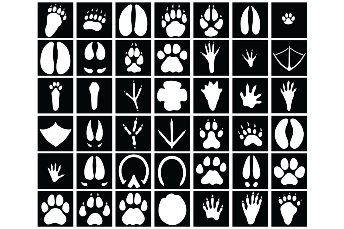 41 Animal Paw Stencil, Animal Tracks, an Object Graphic by Doodle Cloud Studio (Photo 2 of 2)