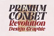 Pionel, a Serif Font by Fontastic (Thumbnail 7 of 10)