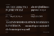 Comera Modern Serif Font, a Serif Font by Perfectype (Thumbnail 8 of 8)