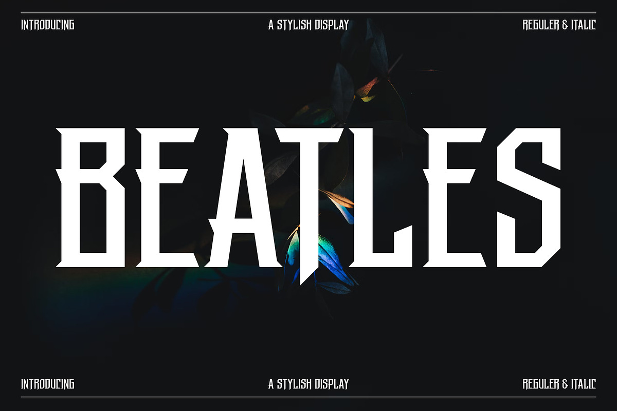 Beatles Stylish Display Font, a Sans Serif Font by Storytype Studio (Photo 1 of 15)