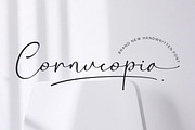 Bontana - Elegant Calligraphy Font, a Script Font by Flawless And Co (Thumbnail 3 of 10)