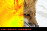 Thermal Imaging Actions, an Action Add-On by Brand Hustle Co (Thumbnail 4 of 6)