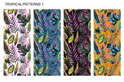 Neon tropical collection, a Pattern Graphic by Robusta (Thumbnail 4 of 22)
