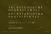 Robelia Elegant Serif Font, a Font by Graphicxell (Thumbnail 7 of 8)