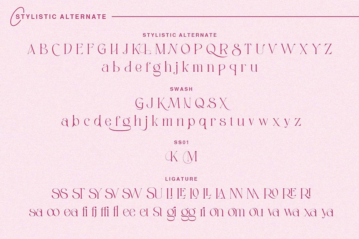 Konfista, a Serif Font by Nathatype (Photo 10 of 10)