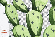 Cactus Watercolor Clipart. Succulent, a Decorative Illustration by BarvArt (Thumbnail 5 of 5)