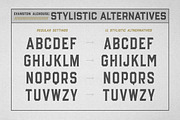 Evanston Alehouse Family, a Serif Font by Kimmy Design (Thumbnail 8 of 12)