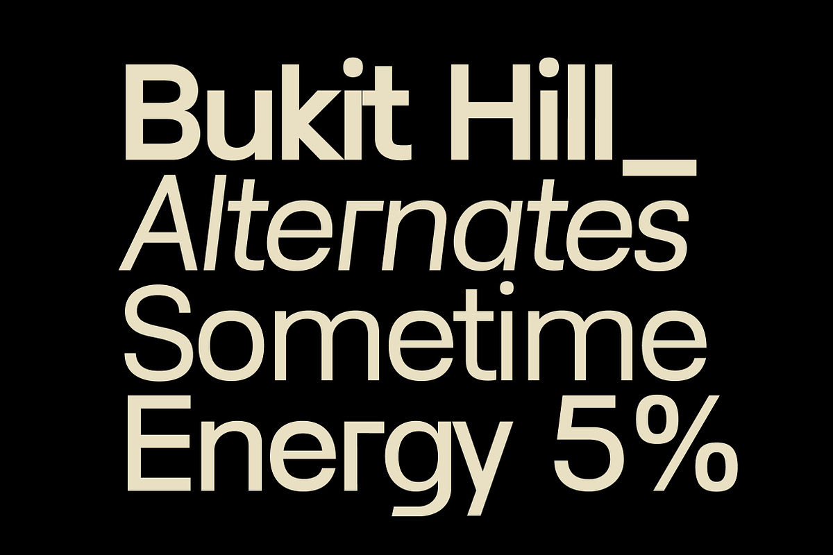 Lenia Sans Family | Intro 75% OFF, a Sans Serif Font by Lettertype Studio (Photo 12 of 15)