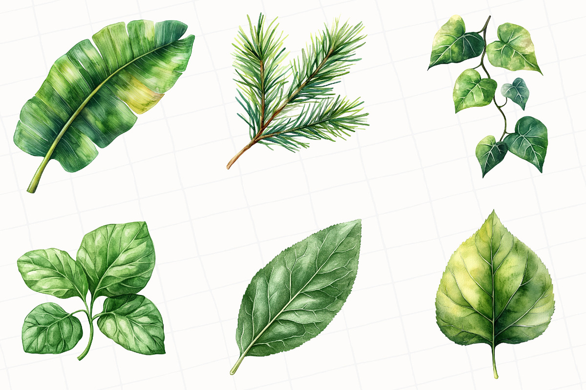 Green Summer Foliage Clipart, an Illustration by OK Design (Photo 5 of 5)