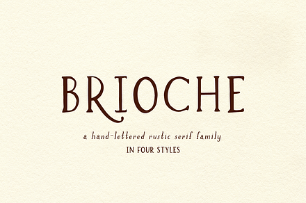 Brioche Rustic Serif Font Family, a Serif Font by Beck McCormick