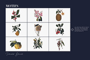 Exótica, Luxury Pattern design!, a Pattern Graphic by TSTUDIO (Thumbnail 4 of 14)