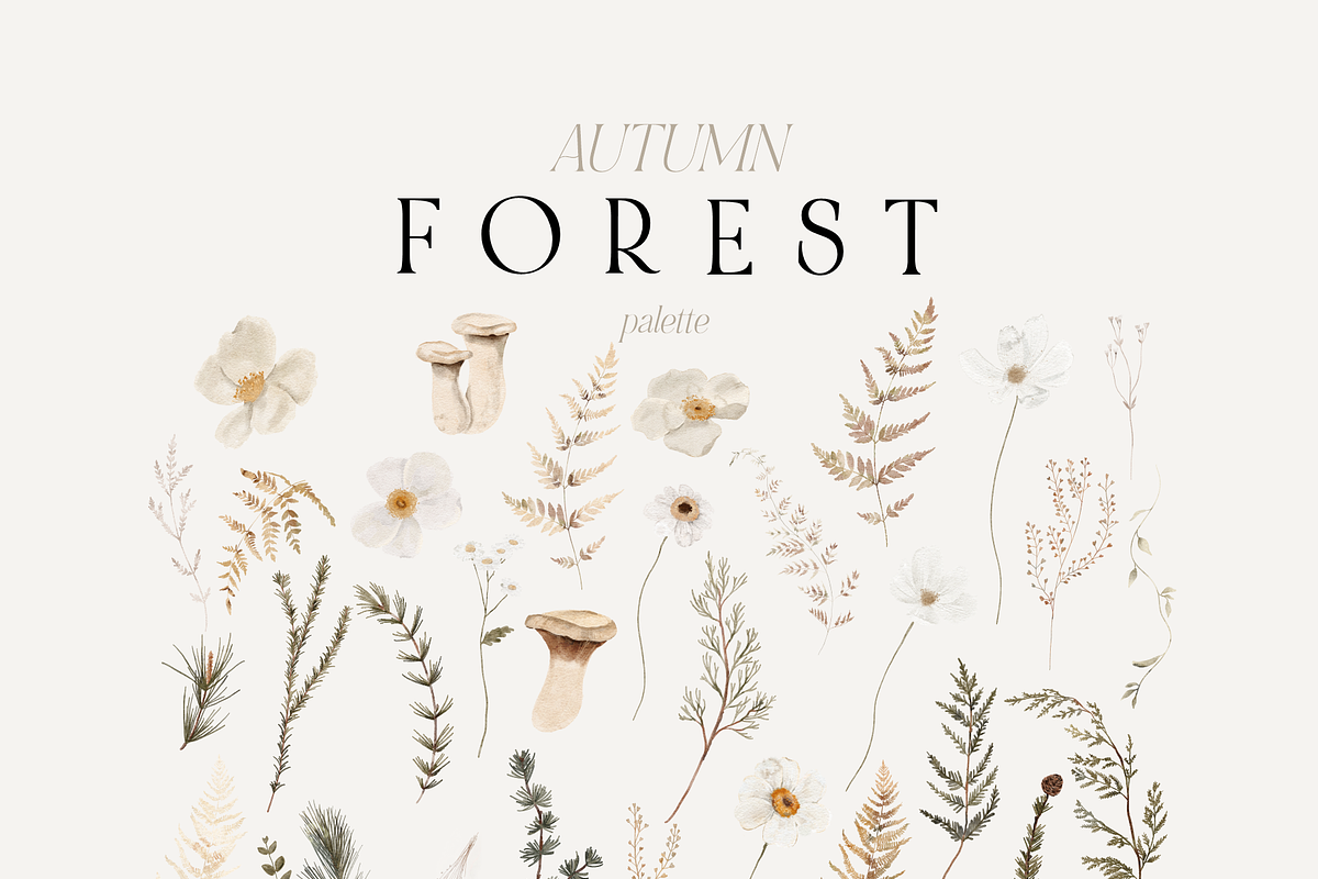 Autumn and Winter FOREST -watercolor, a Seasonal Illustration by Youksy (Photo 3 of 29)