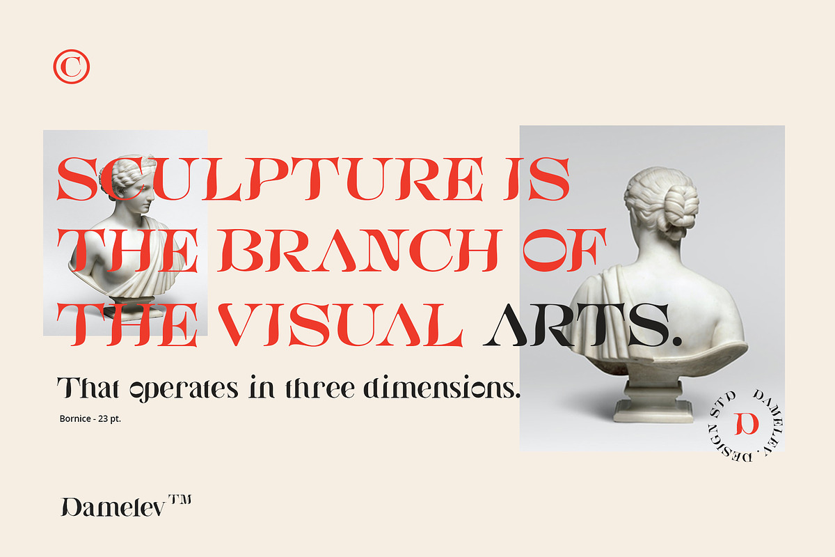 Bornice Modern Serif, a Serif Font by Damelev (Photo 6 of 13)