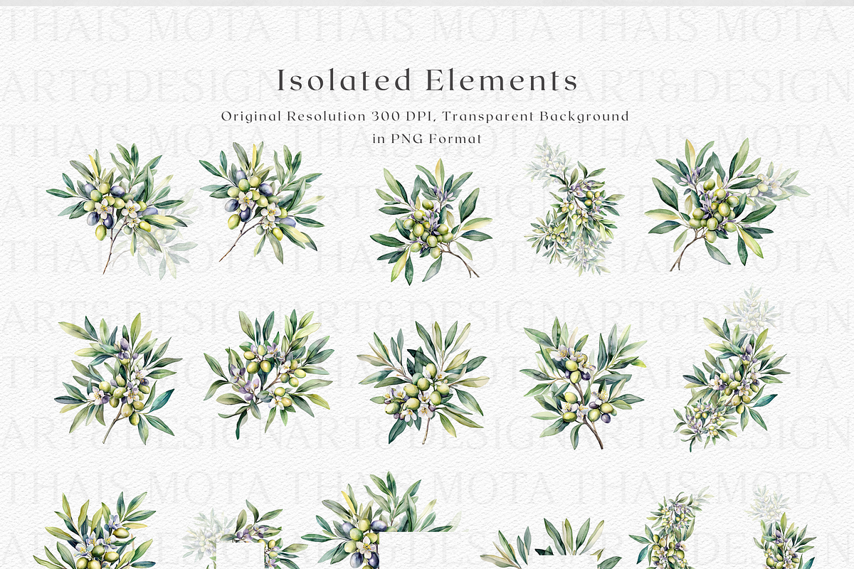 Olive Botanicals – Watercolor, a Decorative Illustration by ThaismotaCreativeCo (Photo 7 of 9)