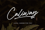 Caliway Casual Handwritten Font, a Script Font by Letteralle Studios (Thumbnail 1 of 9)