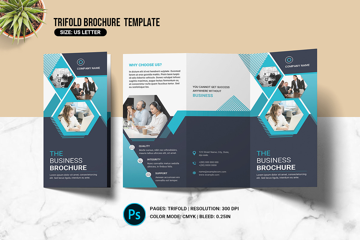 Trifold Business Brochure, a Brochure Template by retrographix (Photo 1 of 4)