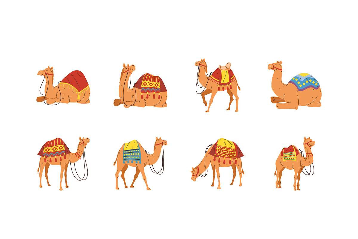 Decorative Camel Illustration Set preview 2